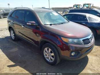  Salvage Kia Sorento