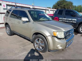  Salvage Ford Escape