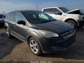  Salvage Ford Escape