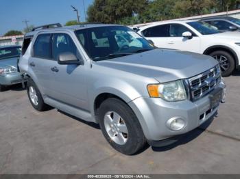  Salvage Ford Escape