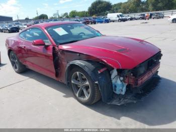  Salvage Ford Mustang