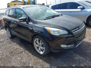  Salvage Ford Escape