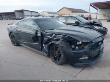  Salvage Ford Mustang