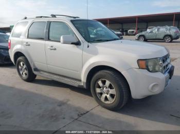  Salvage Ford Escape