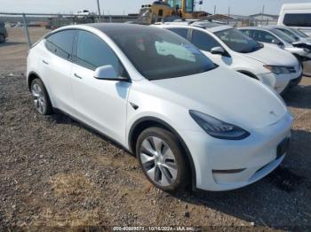  Salvage Tesla Model Y