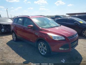  Salvage Ford Escape