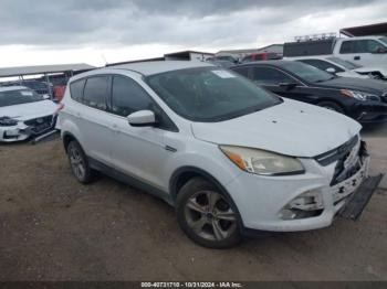  Salvage Ford Escape