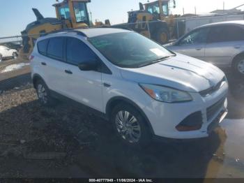  Salvage Ford Escape