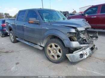  Salvage Ford F-150