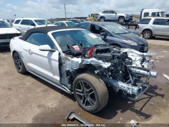  Salvage Ford Mustang