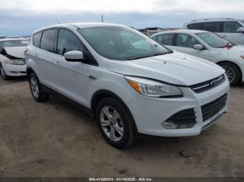  Salvage Ford Escape