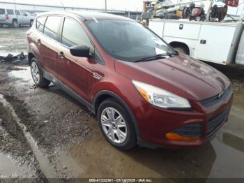  Salvage Ford Escape