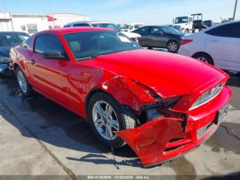  Salvage Ford Mustang