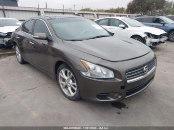  Salvage Nissan Maxima