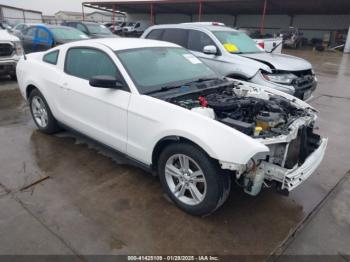  Salvage Ford Mustang