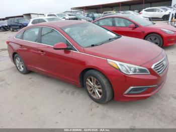  Salvage Hyundai SONATA