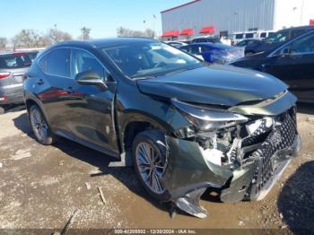  Salvage Lexus NX