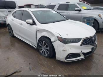  Salvage Acura TLX