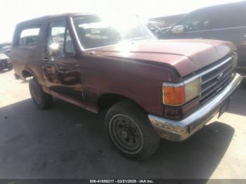  Salvage Ford Bronco