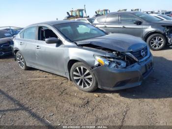  Salvage Nissan Altima