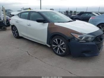  Salvage Nissan Maxima