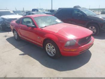  Salvage Ford Mustang