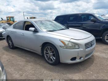  Salvage Nissan Maxima