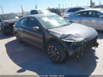  Salvage Honda Accord