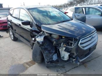  Salvage Ford Escape