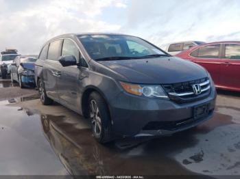  Salvage Honda Odyssey