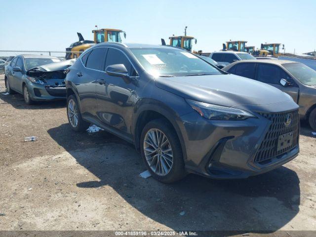  Salvage Lexus NX