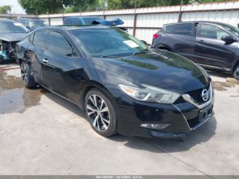  Salvage Nissan Maxima