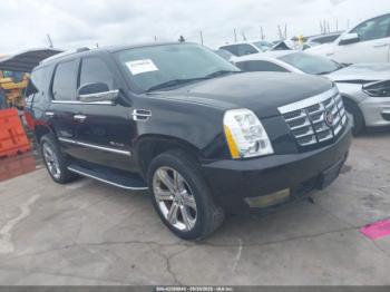  Salvage Cadillac Escalade