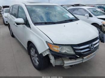  Salvage Honda Odyssey