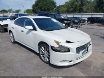  Salvage Nissan Maxima