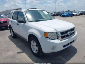  Salvage Ford Escape