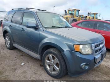  Salvage Ford Escape