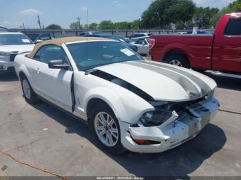  Salvage Ford Mustang