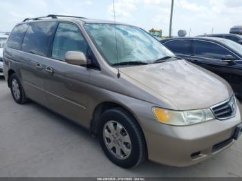  Salvage Honda Odyssey