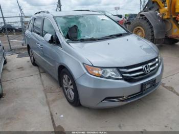  Salvage Honda Odyssey