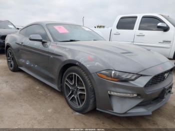  Salvage Ford Mustang
