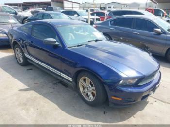  Salvage Ford Mustang