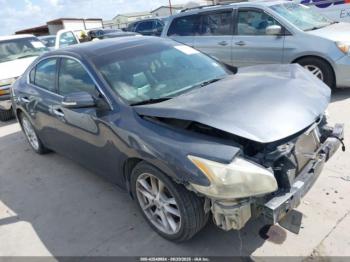  Salvage Nissan Maxima