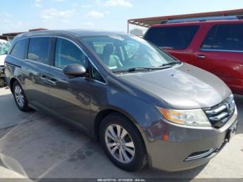  Salvage Honda Odyssey