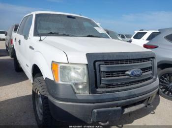  Salvage Ford F-150