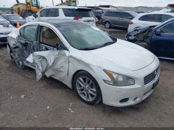  Salvage Nissan Maxima