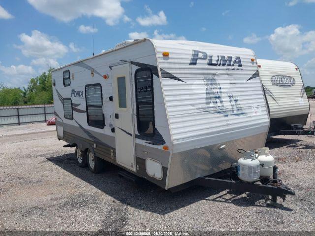  Salvage Palomino Other