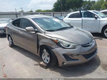  Salvage Hyundai ELANTRA