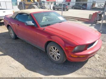  Salvage Ford Mustang