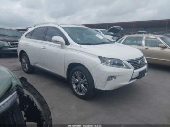  Salvage Lexus RX